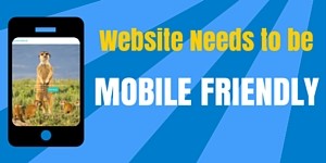 Mobile friendly website